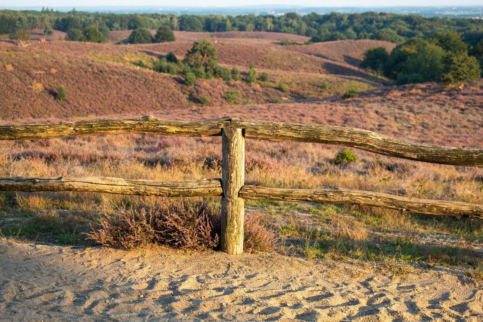 Veluwe Fence Header