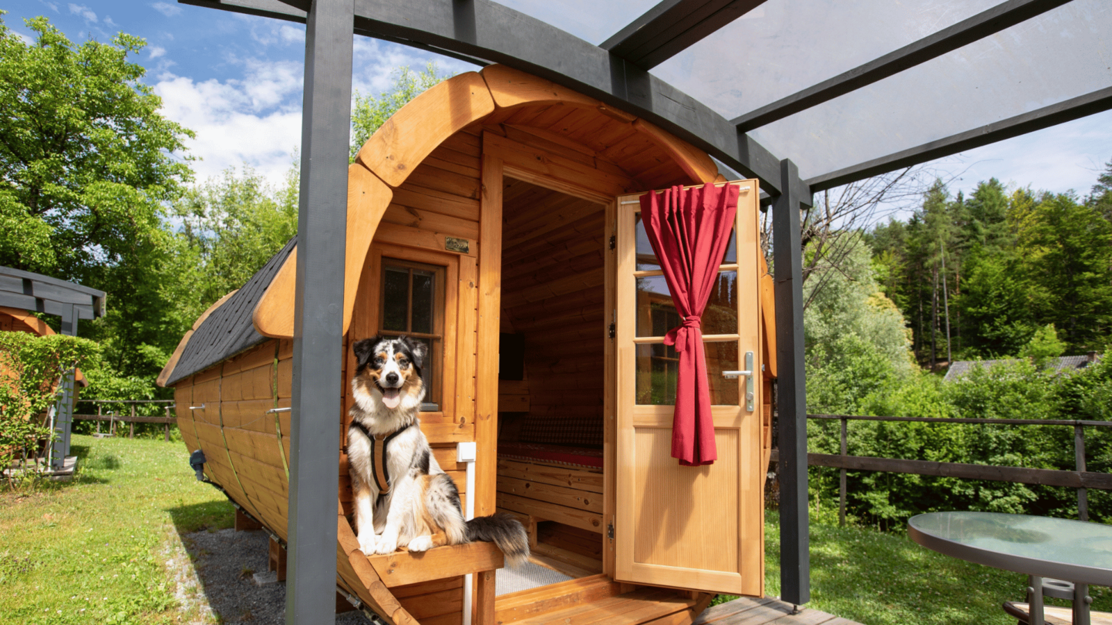 Holiday with dog