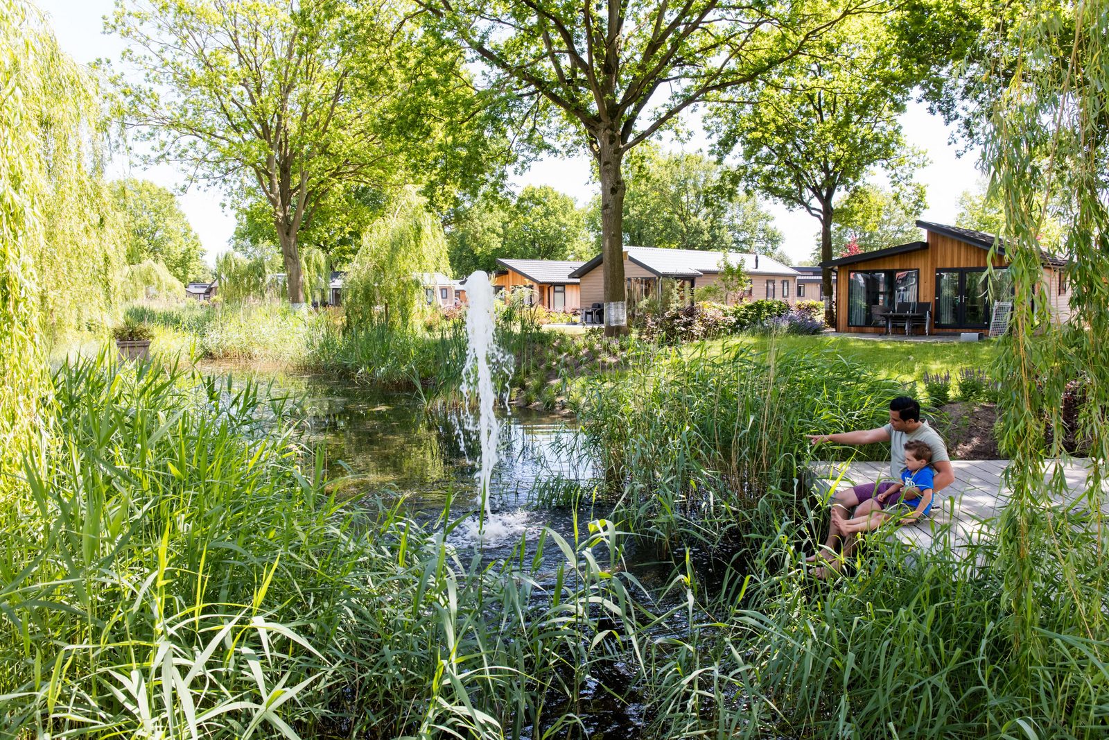 Op het park - Zuiderzee 