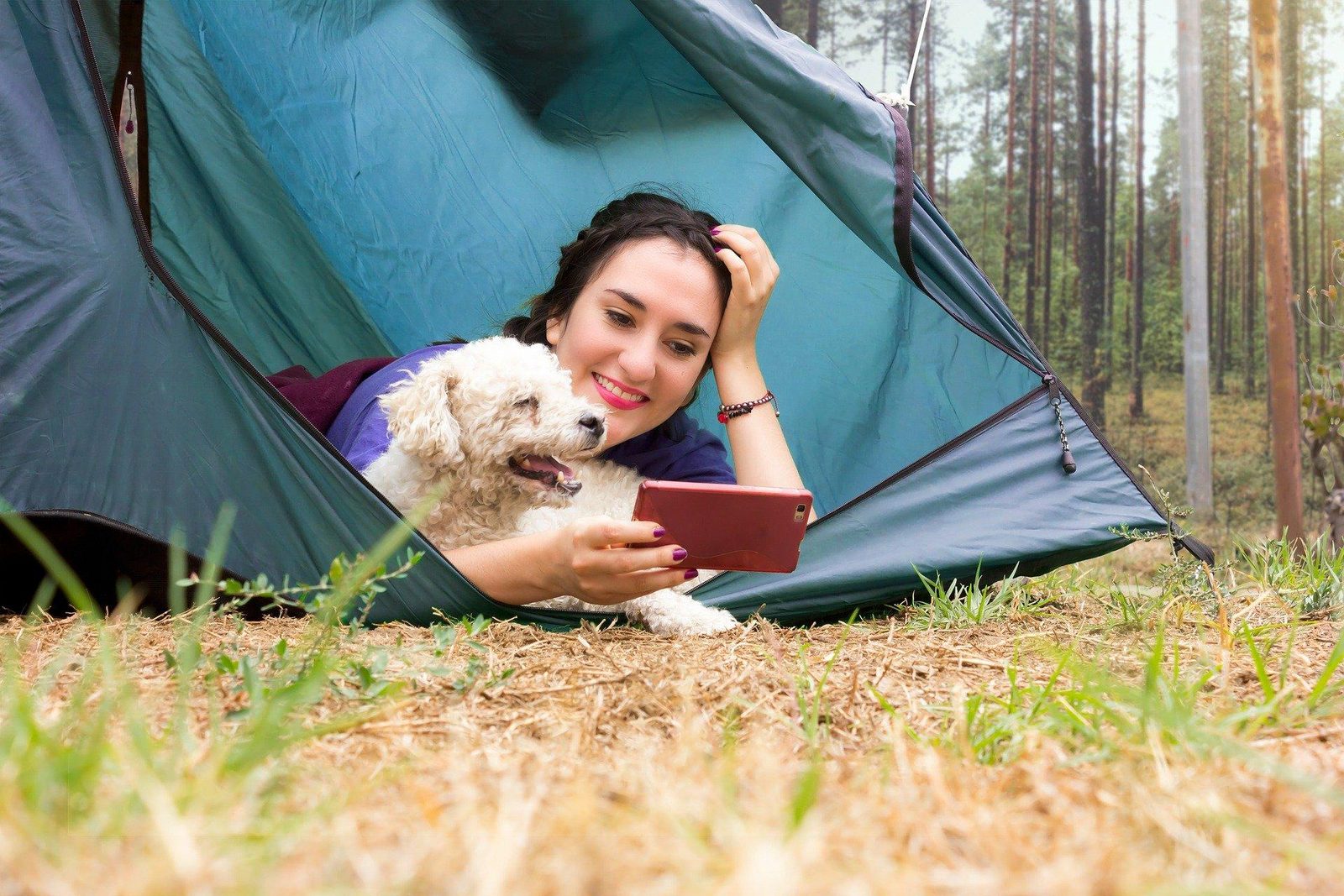 Camping met hond
