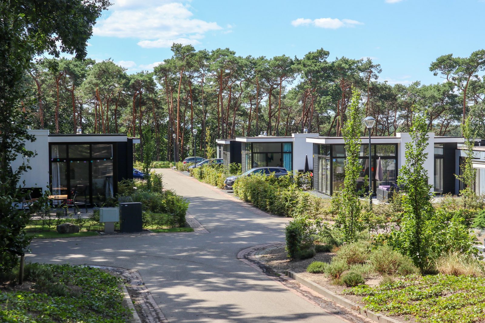 Maasduinen