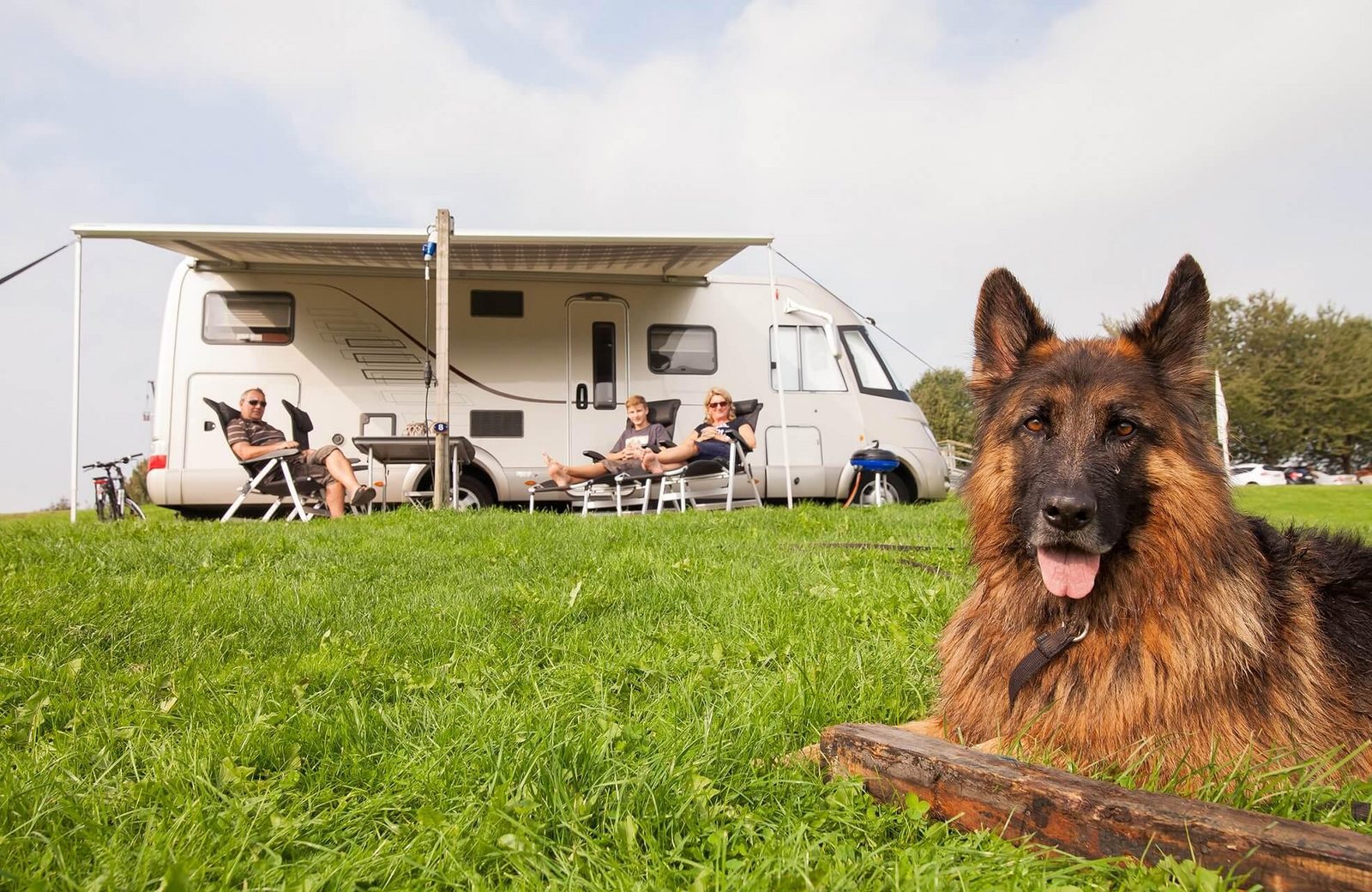 Blog | Kampeervakantie met hond