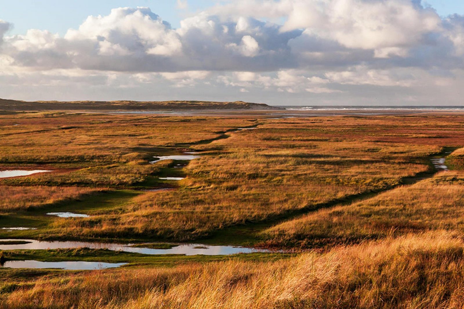 Texel Slufter