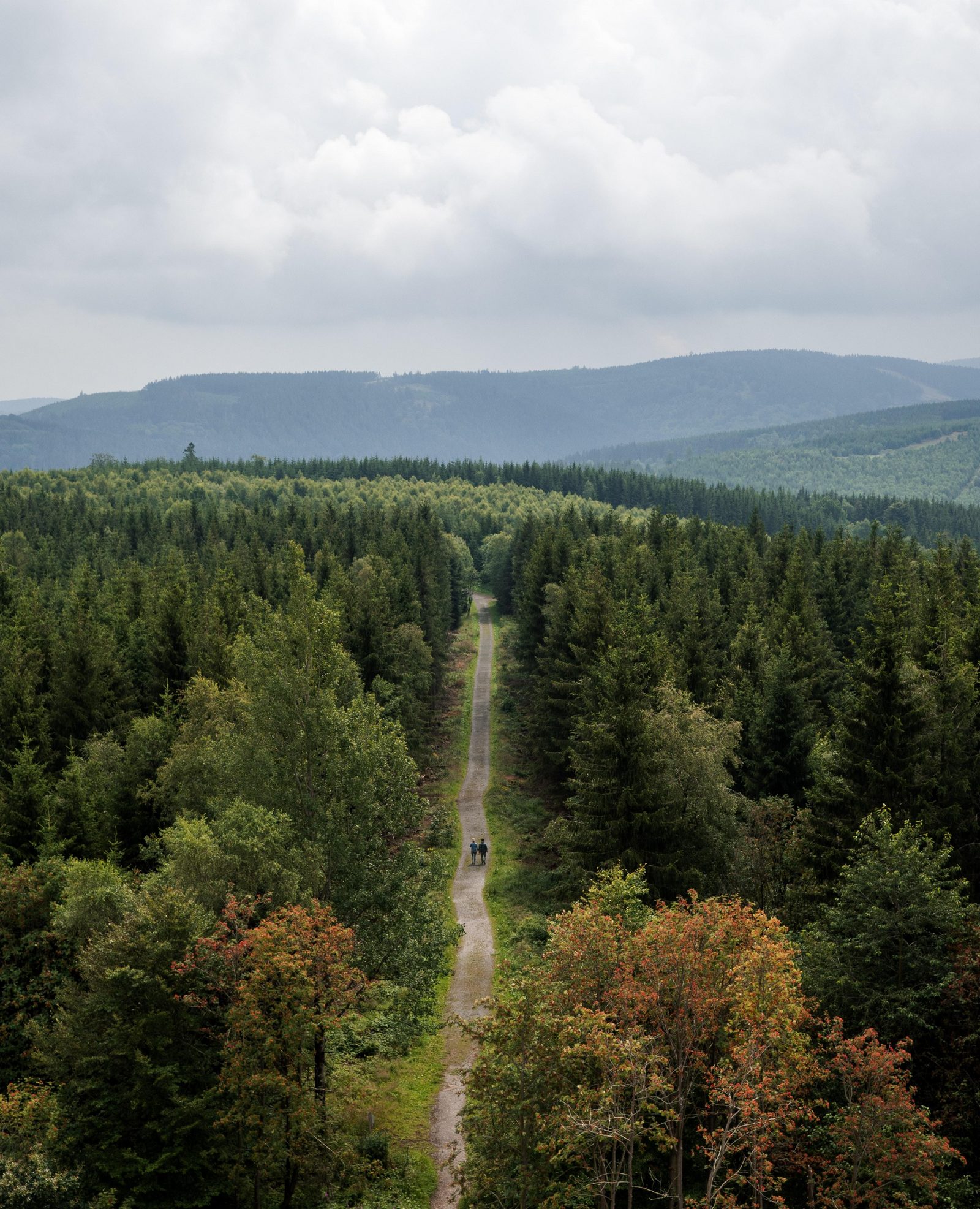 forrest-germany-nrw