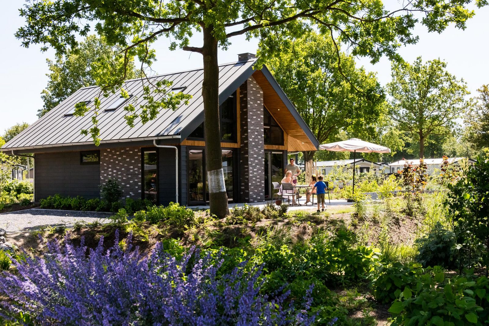 Zuiderzee - accommodation