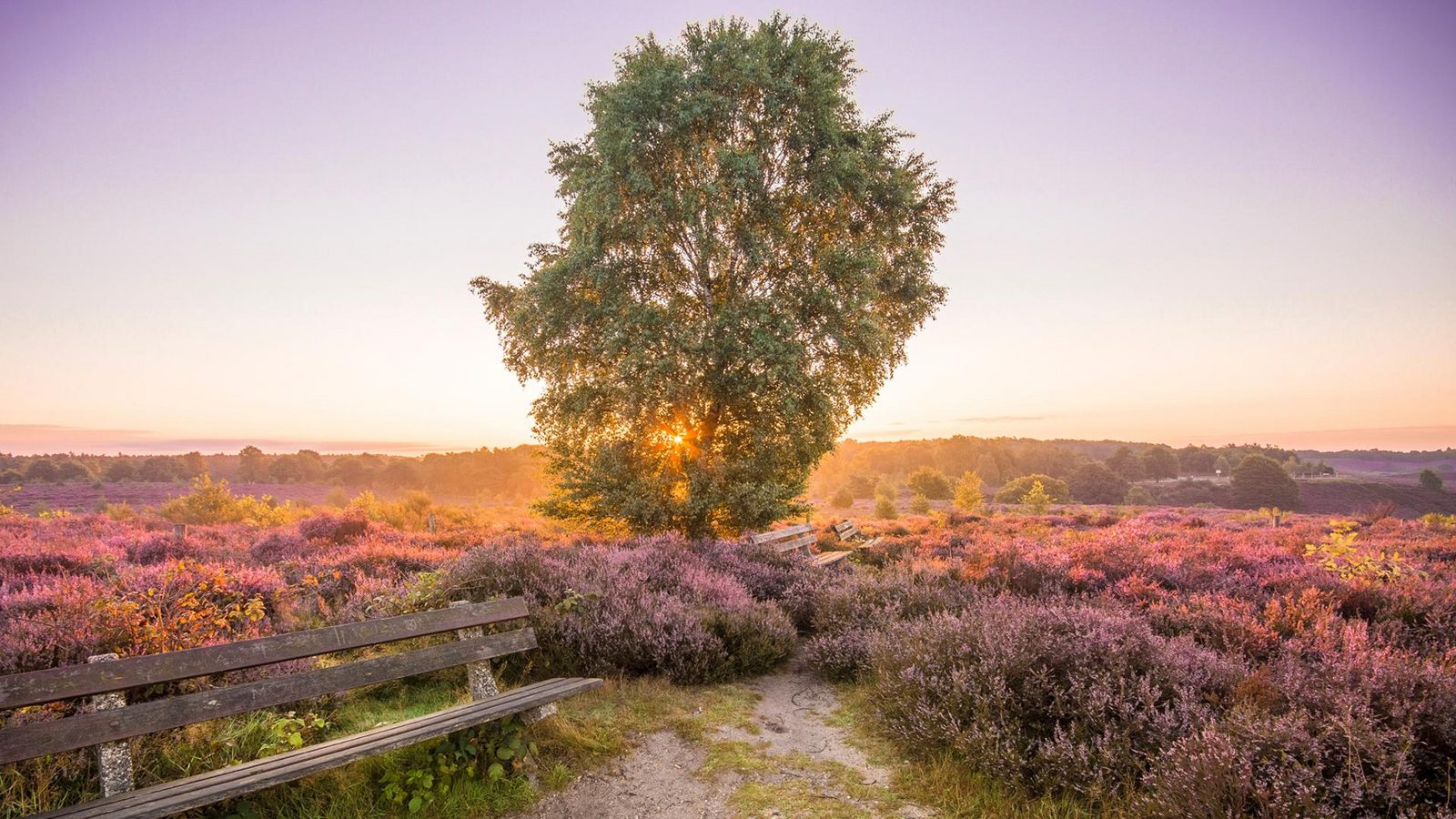 Go Nature Weeks Veluwe