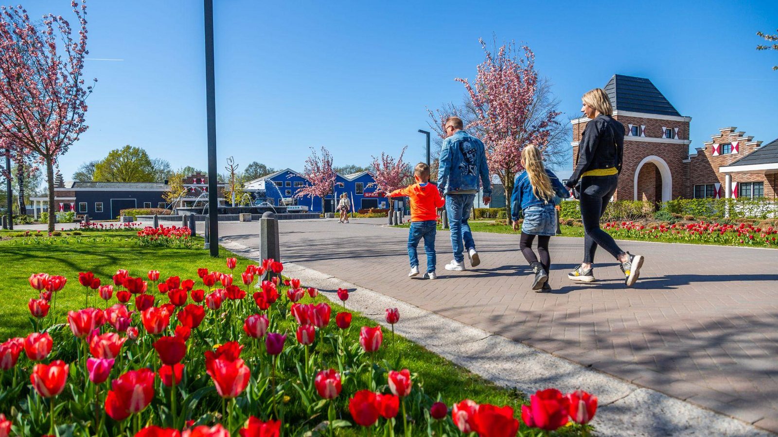 EuroParcs Zuiderzee Family Tulips Cherry Blossom Spring Fountains