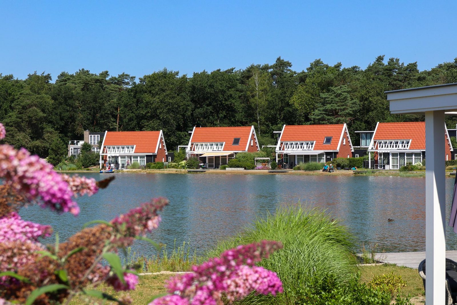 Op het park - de Zanding