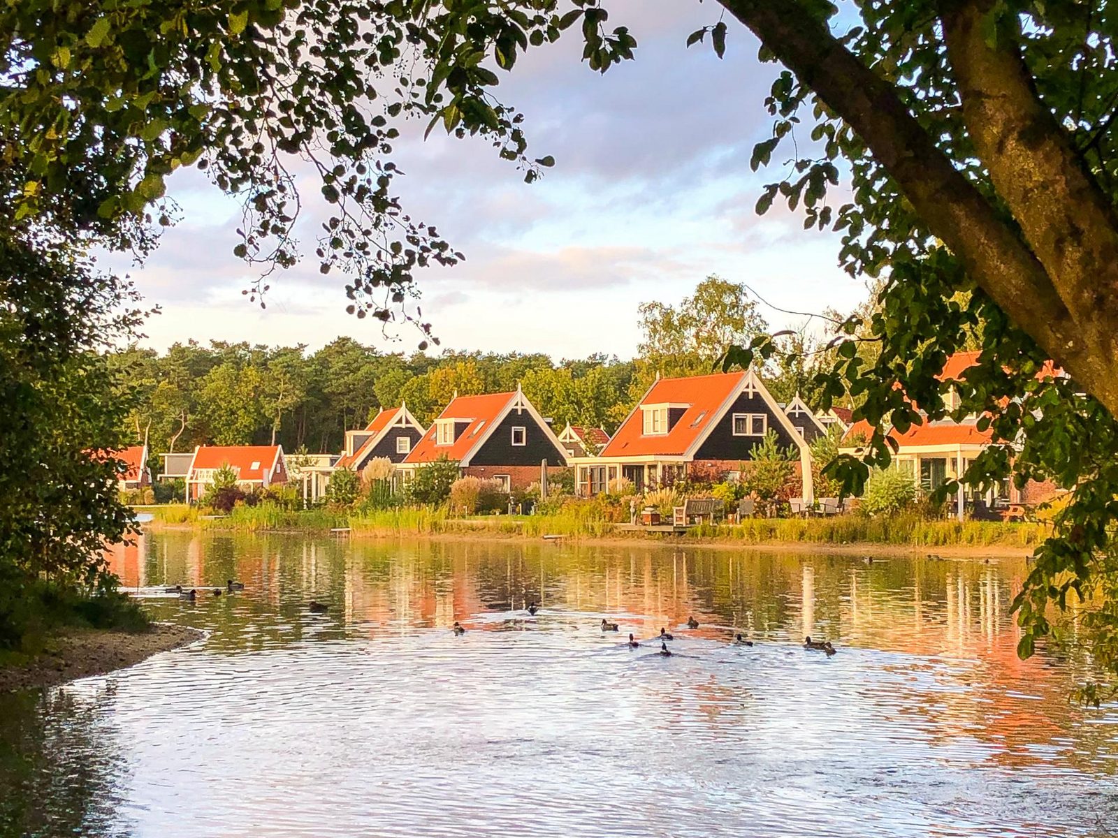 Blick auf den Sonnenuntergang in den Villen des EuroParcs De Zanding