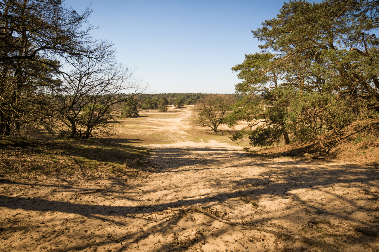 Veluwe Gelderland