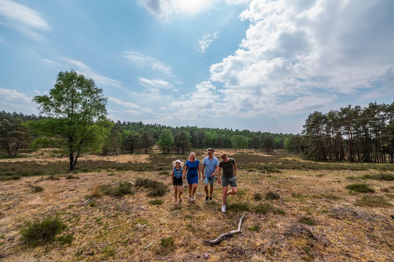 EuroParcs De Hooge Veluwe Family Heath Trees Forest Veluwe Summer Holiday