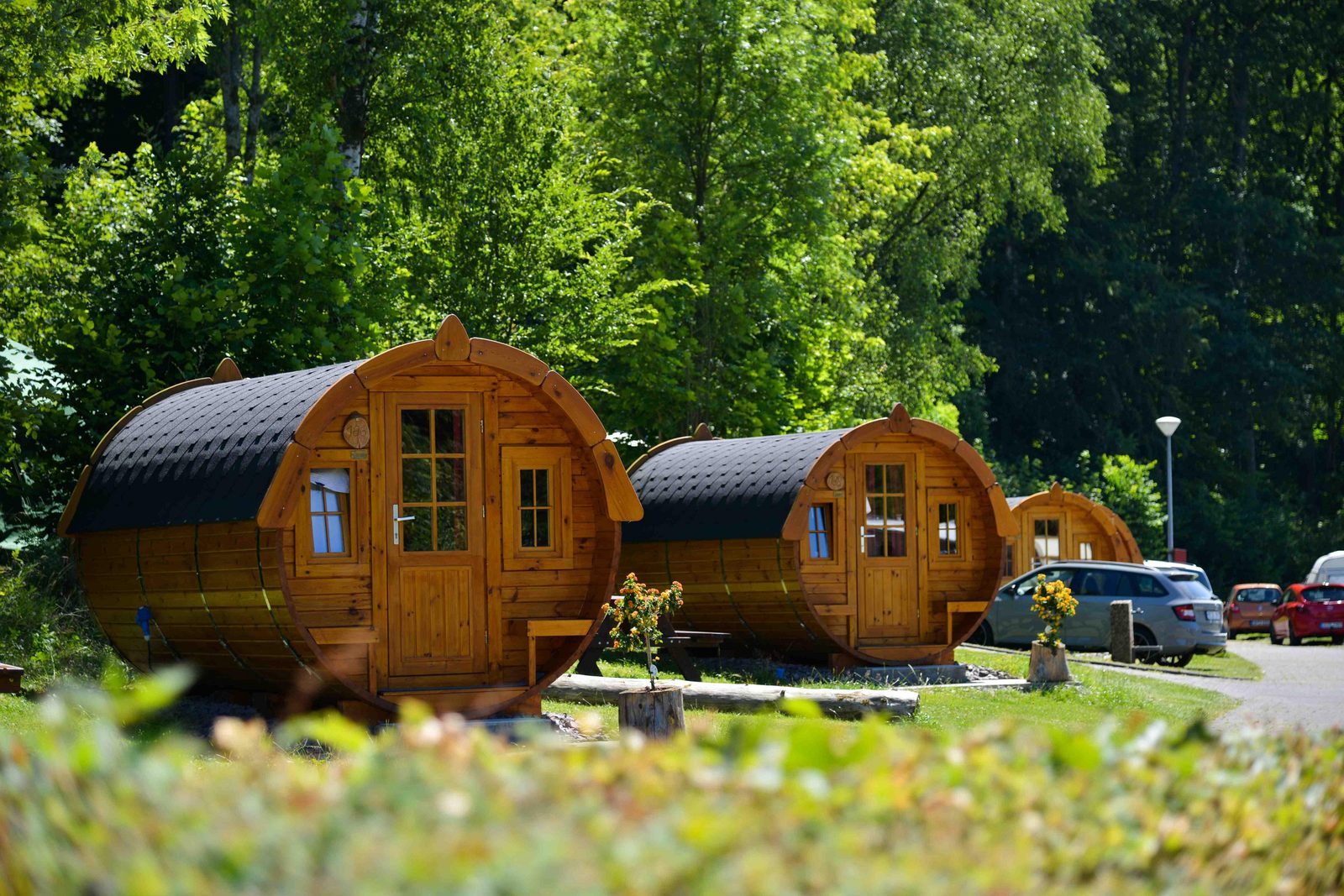 Vakantiepark EuroParcs Biggesee