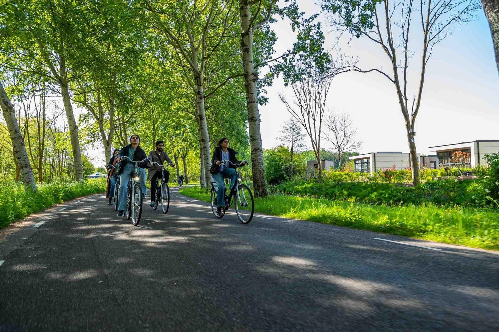 EuroParcs Buitenhuizen