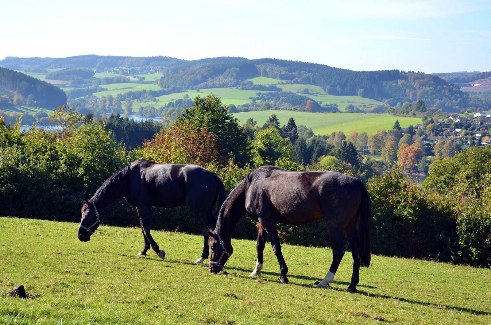 Wanderwege Biggesee