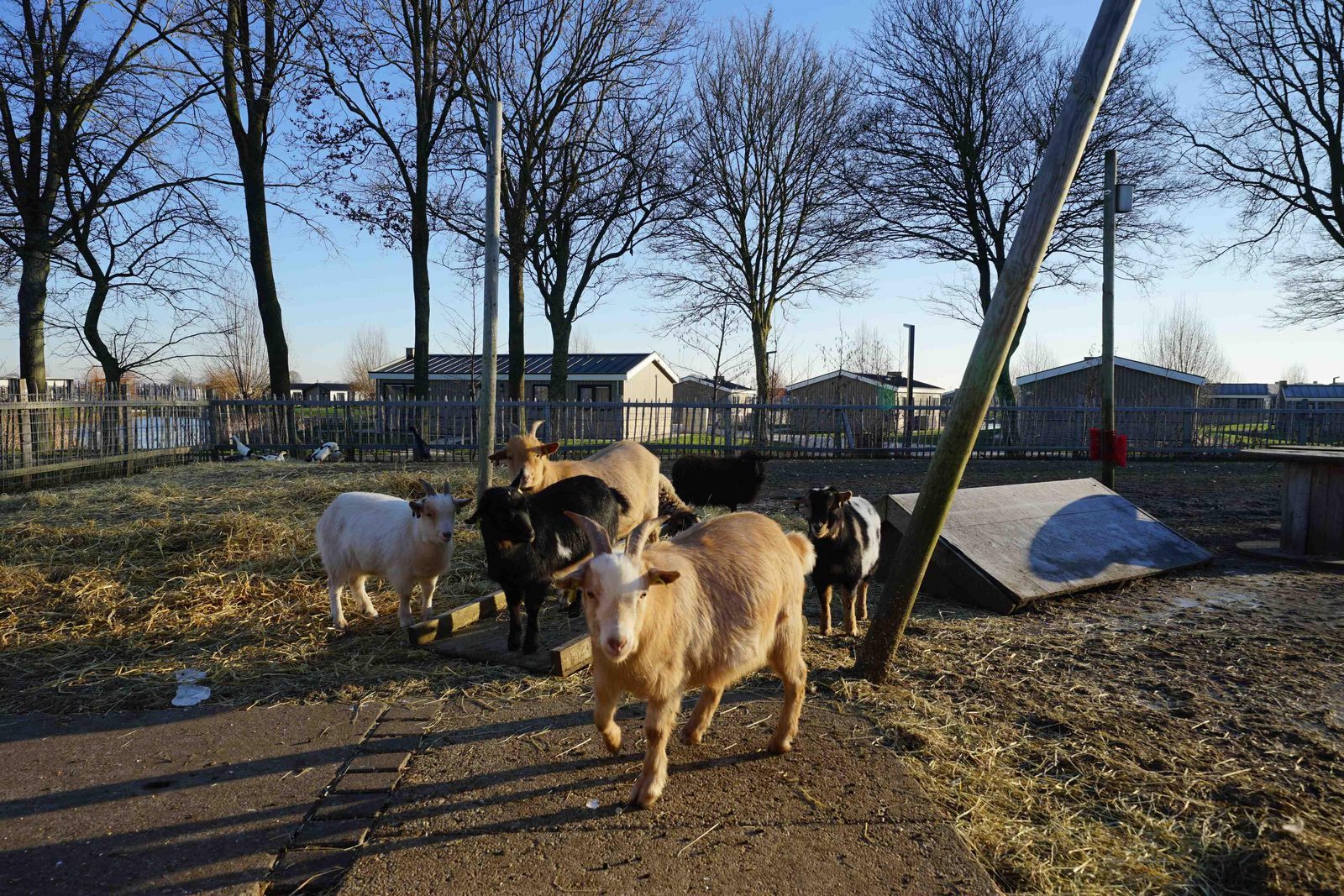 Vakantiepark EuroParcs De IJssel Eilanden