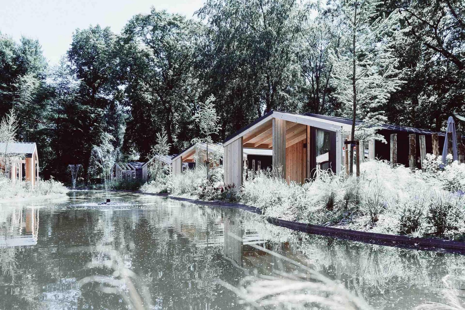 Vakantiepark EuroParcs De Utrechtse Heuvelrug