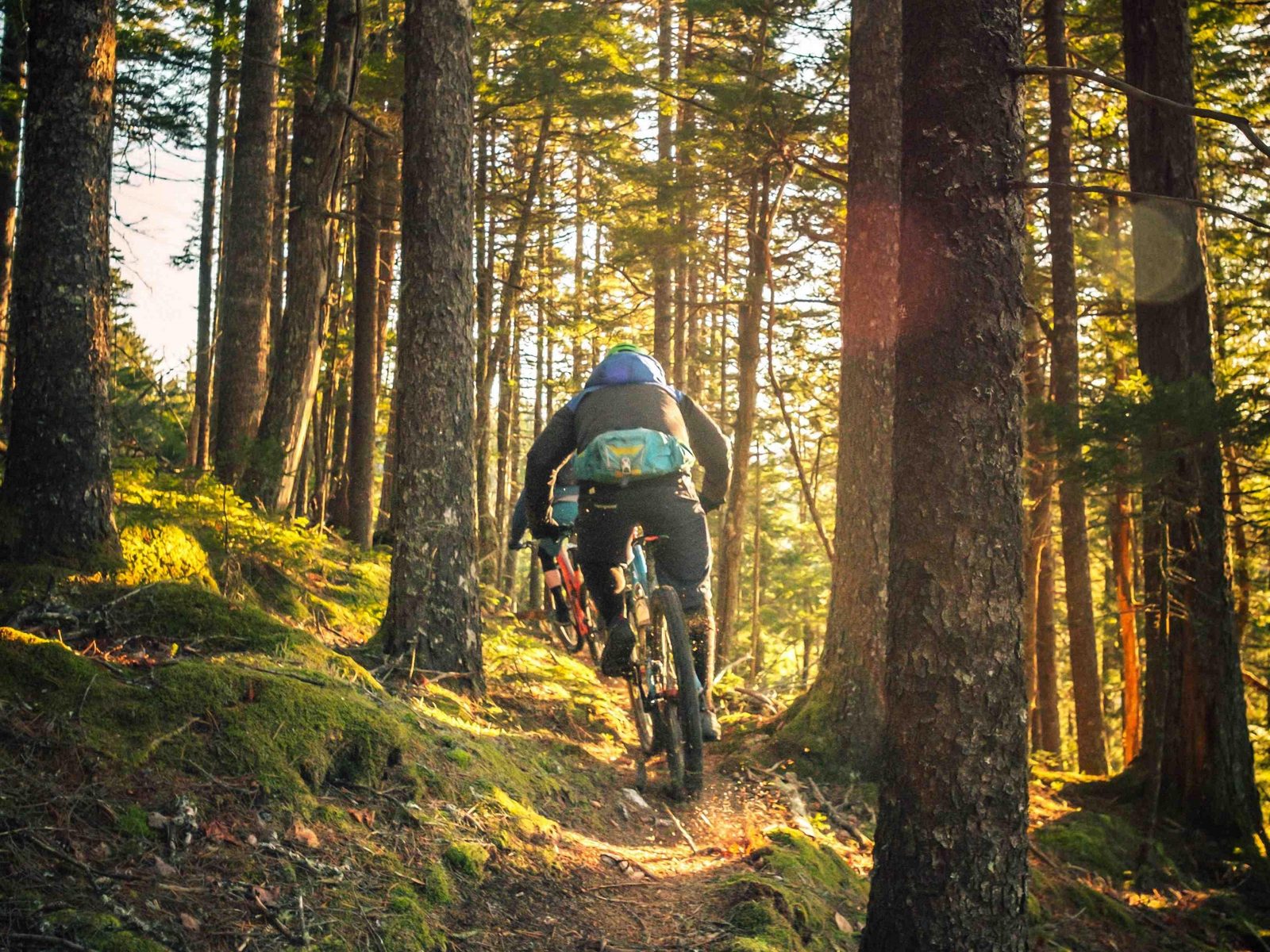 Mountainbike Parcours Schoorl