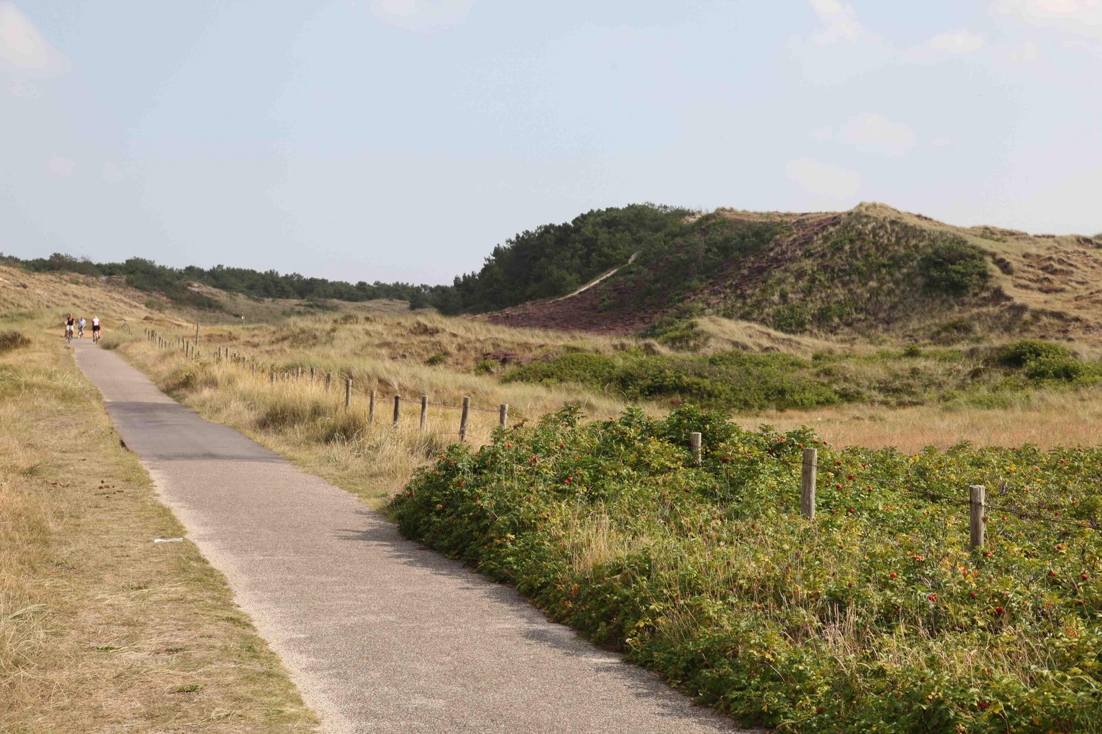 Fiets- en wandelroutes