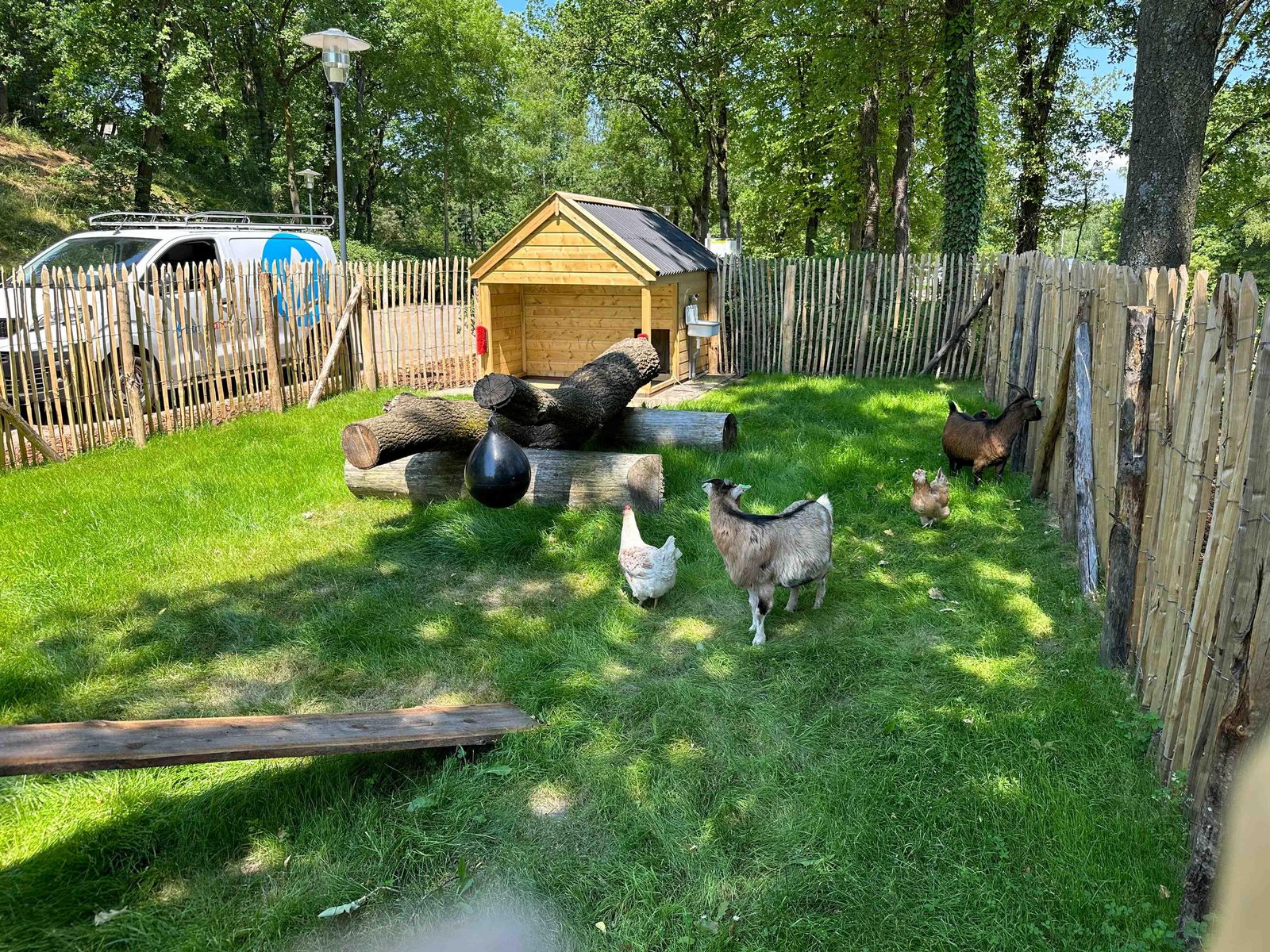 Mini dierenweide