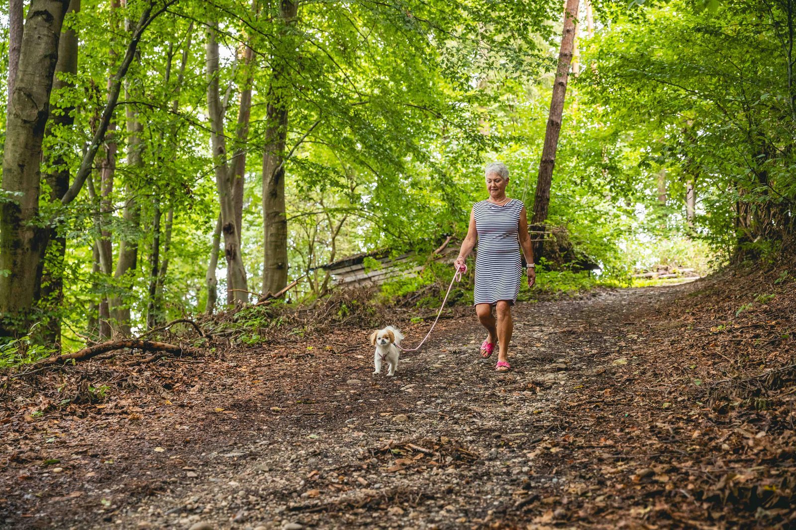 Vakantie Belgie met hond