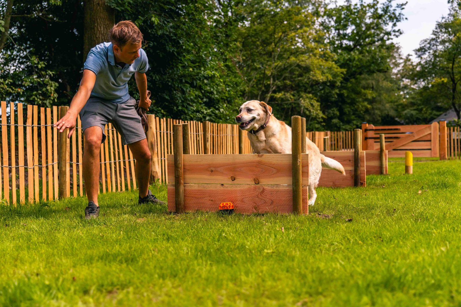 Hundewiese