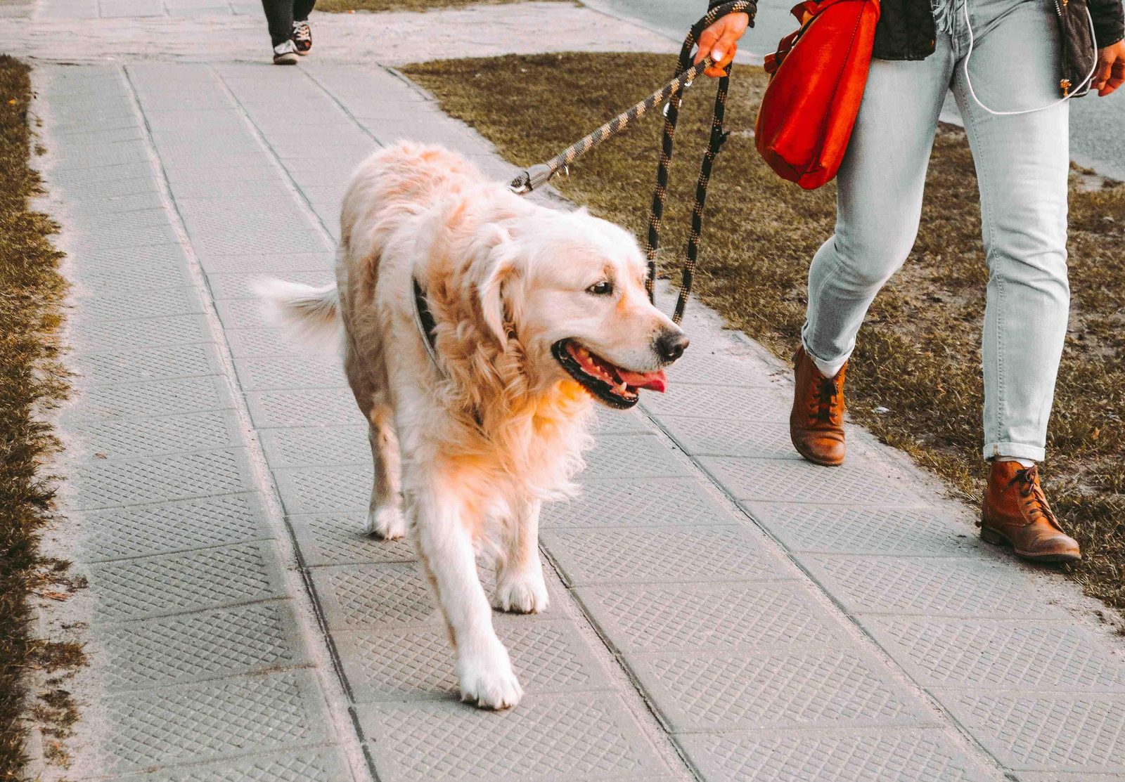 Spazierweg für Hunde