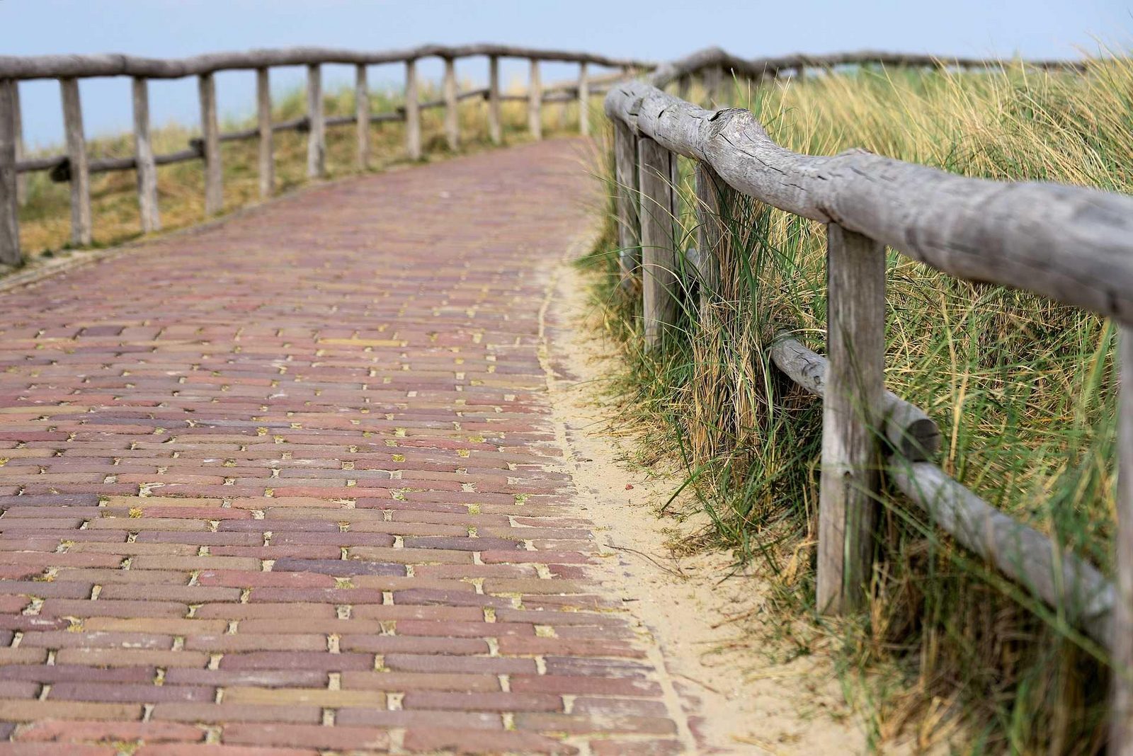 Wandelen en fietsen Texel