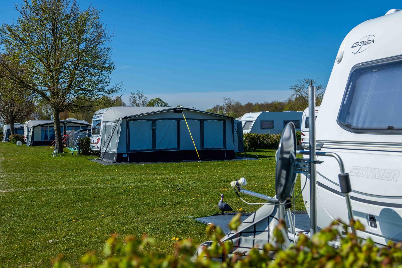 Camping | Kamperen