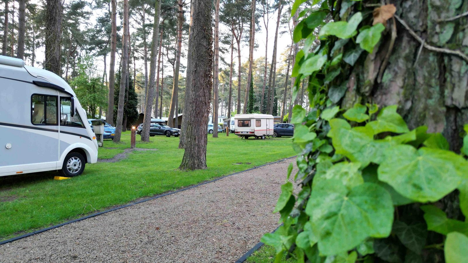 Proefslapen camping