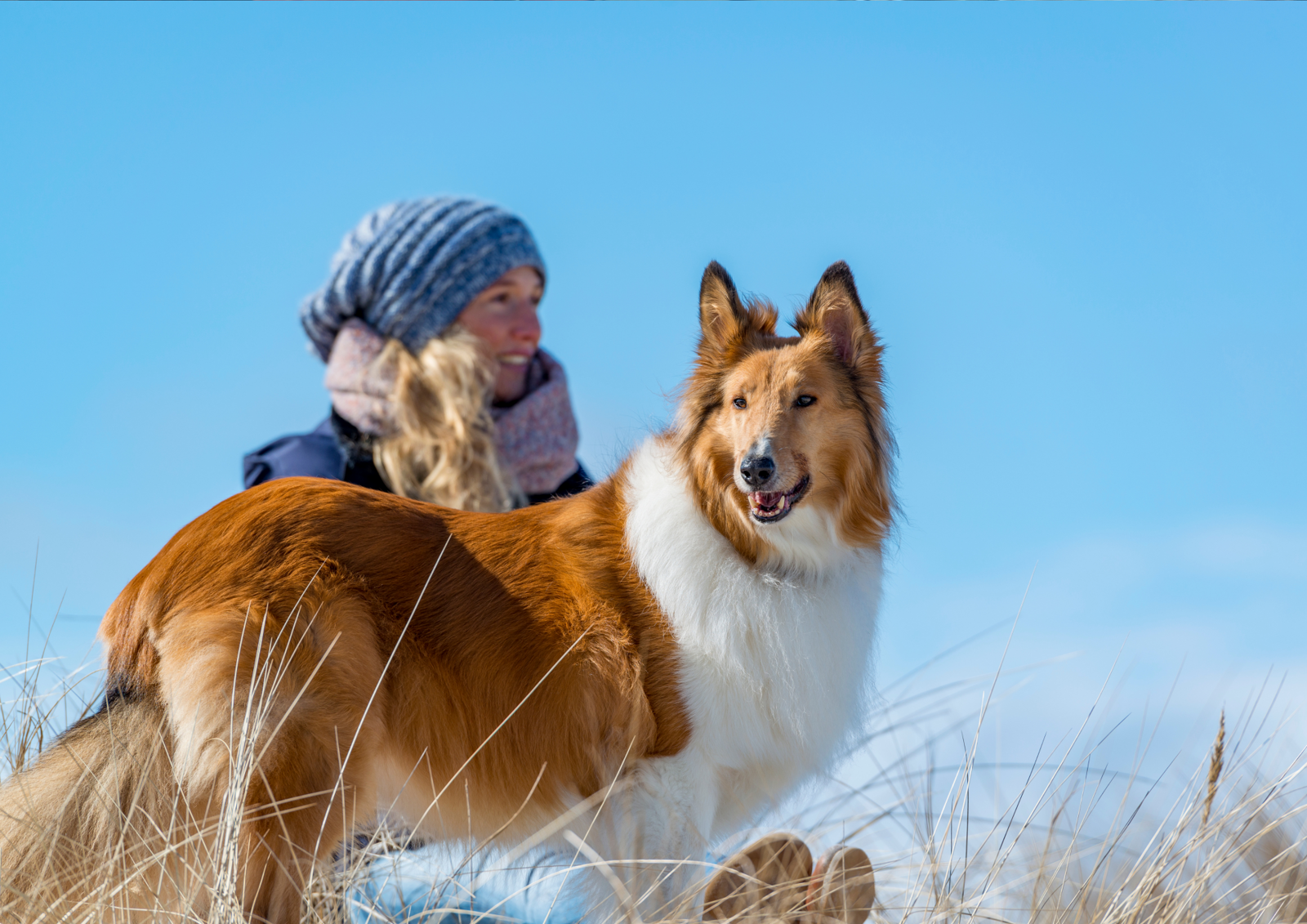 Vakantie met hond in de nazomer en herfst