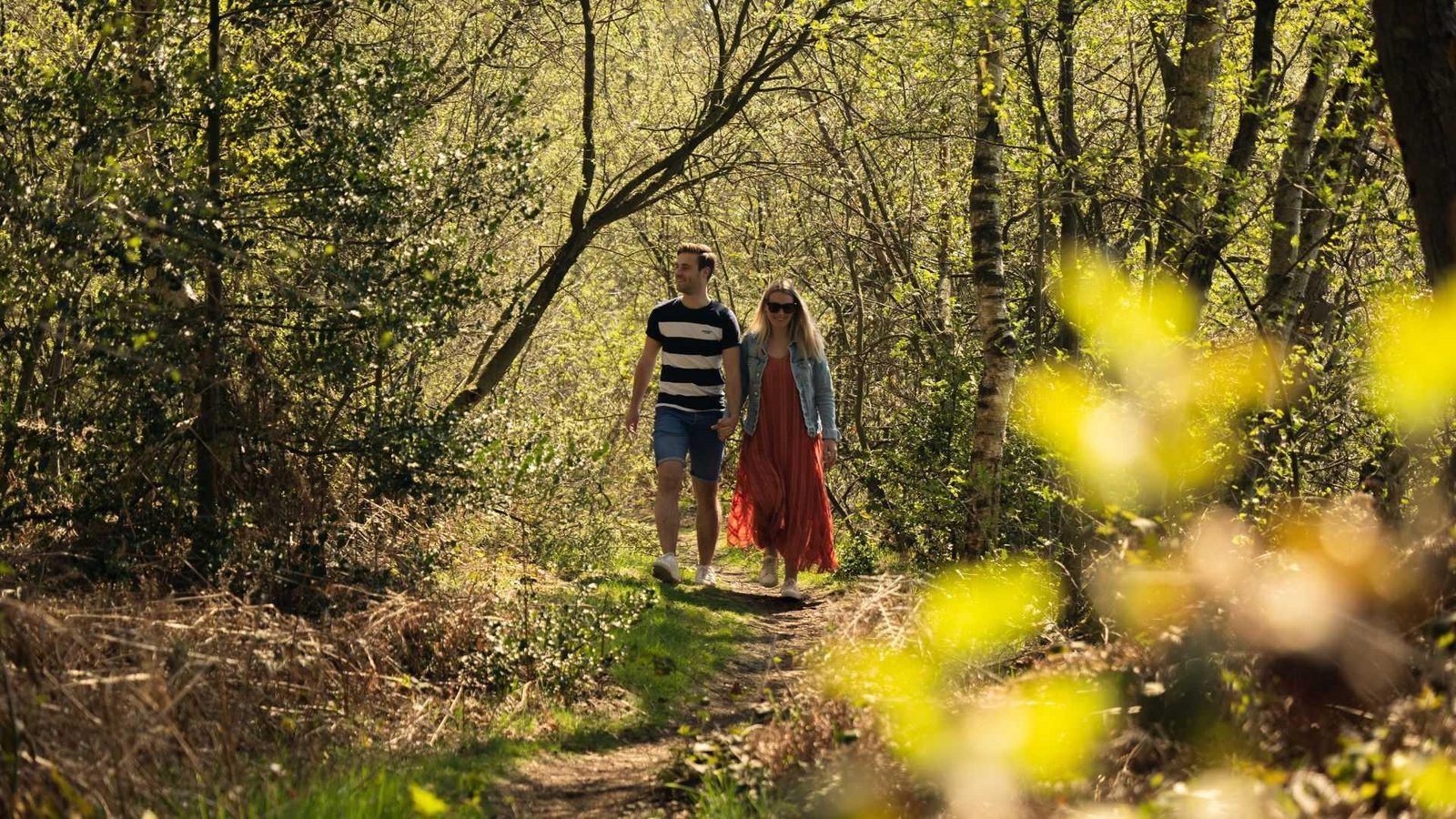 Camping in het bos