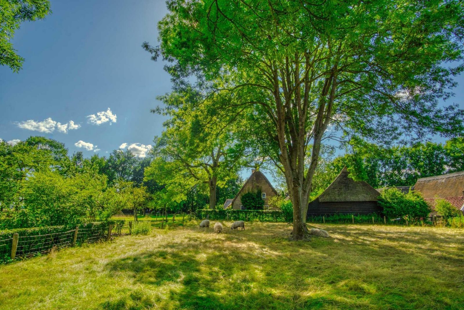 Ferienparks in der Nähe von Drenthe heritage