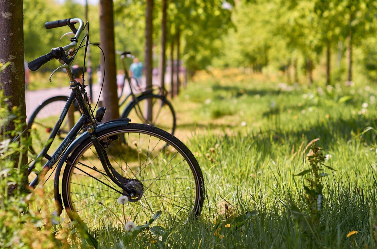 Radfahren 4 Tage Drenthe