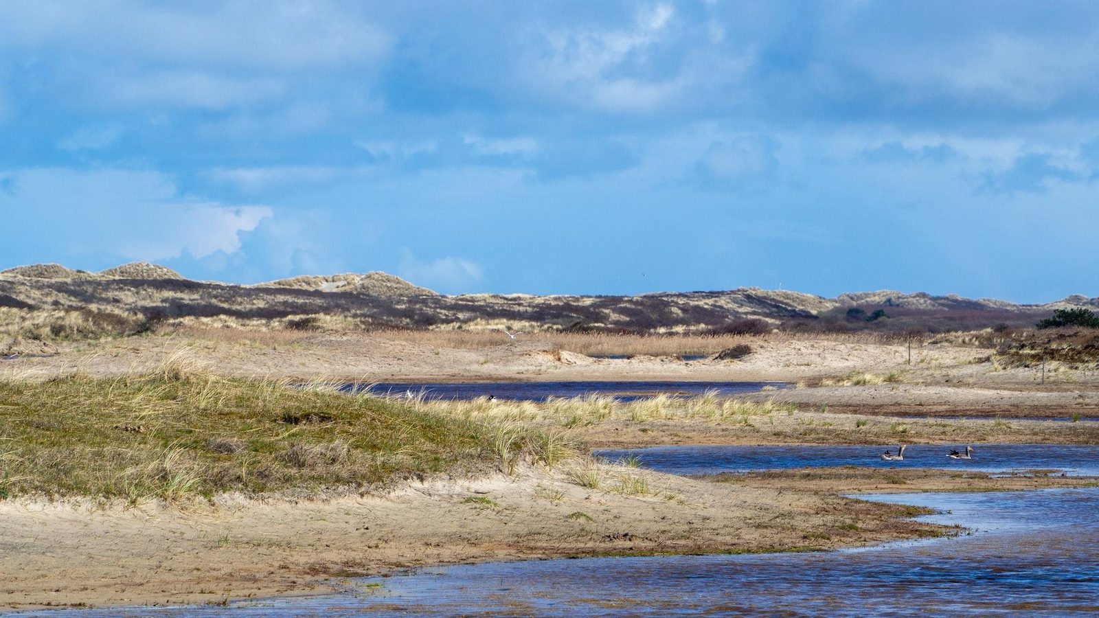 Friesland