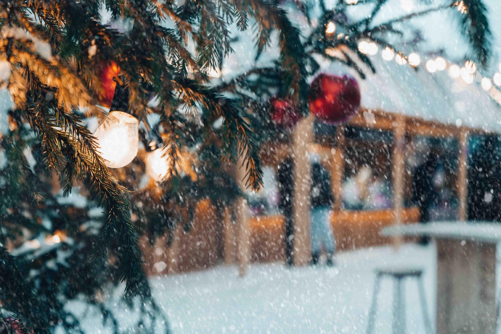 Kerst bij EuroParcs Limburg