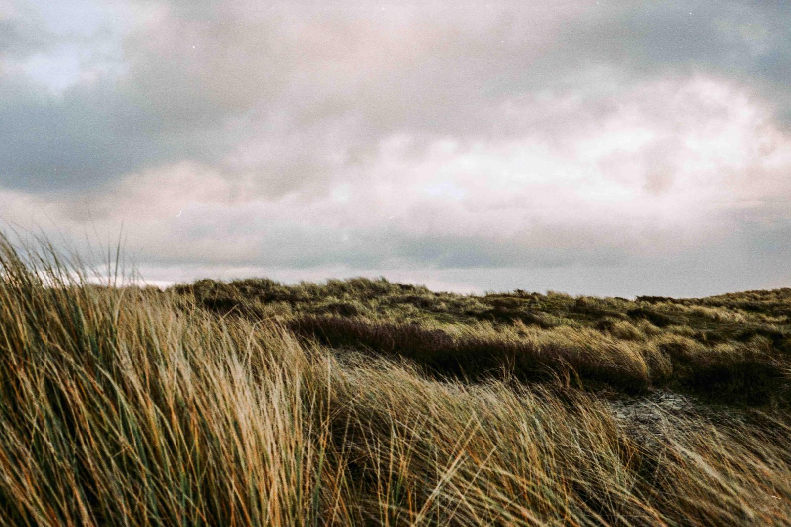 Zandvoort