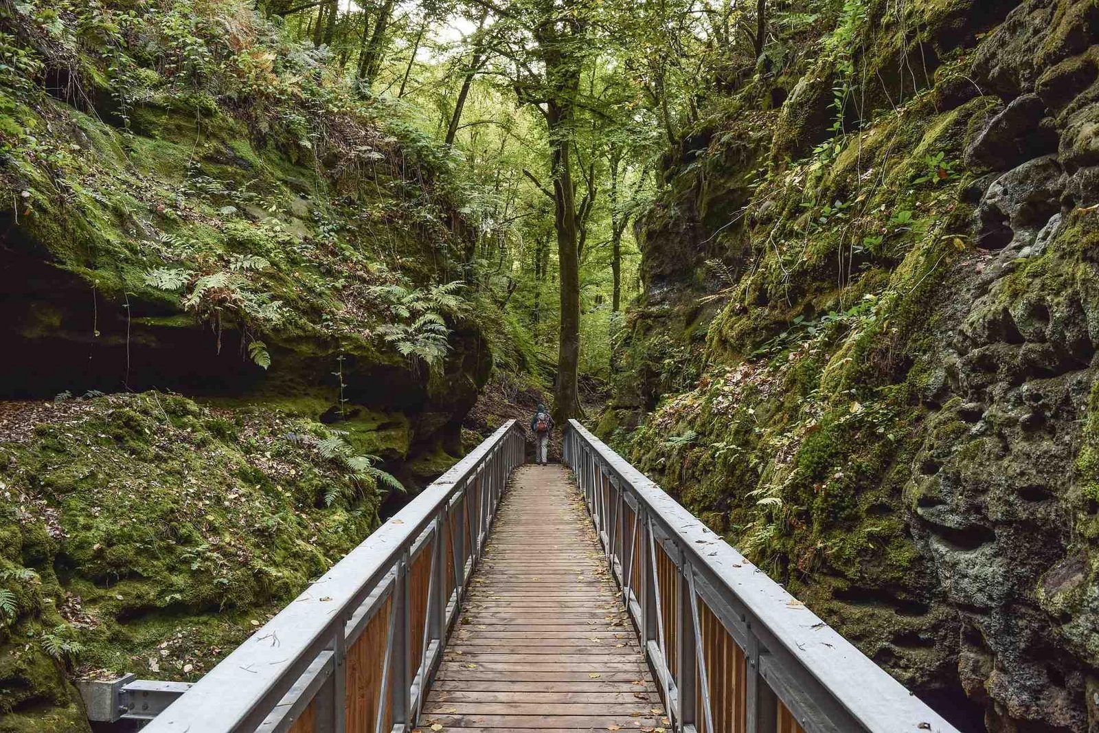 Wandern