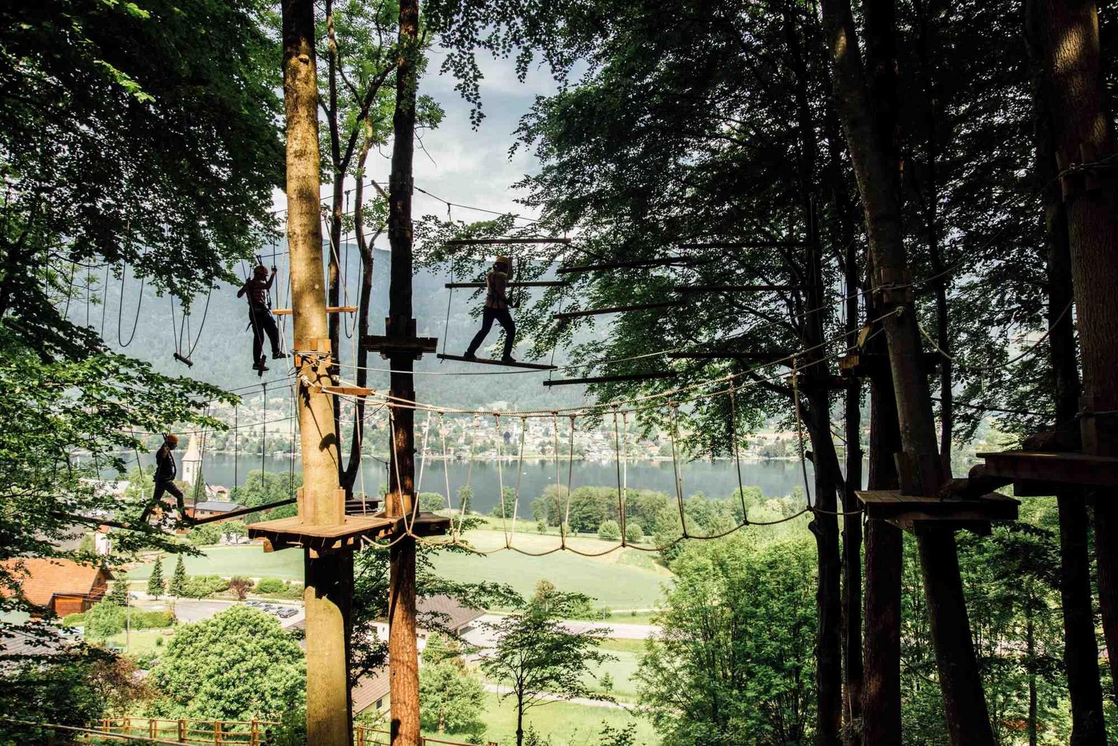 Kletterwald