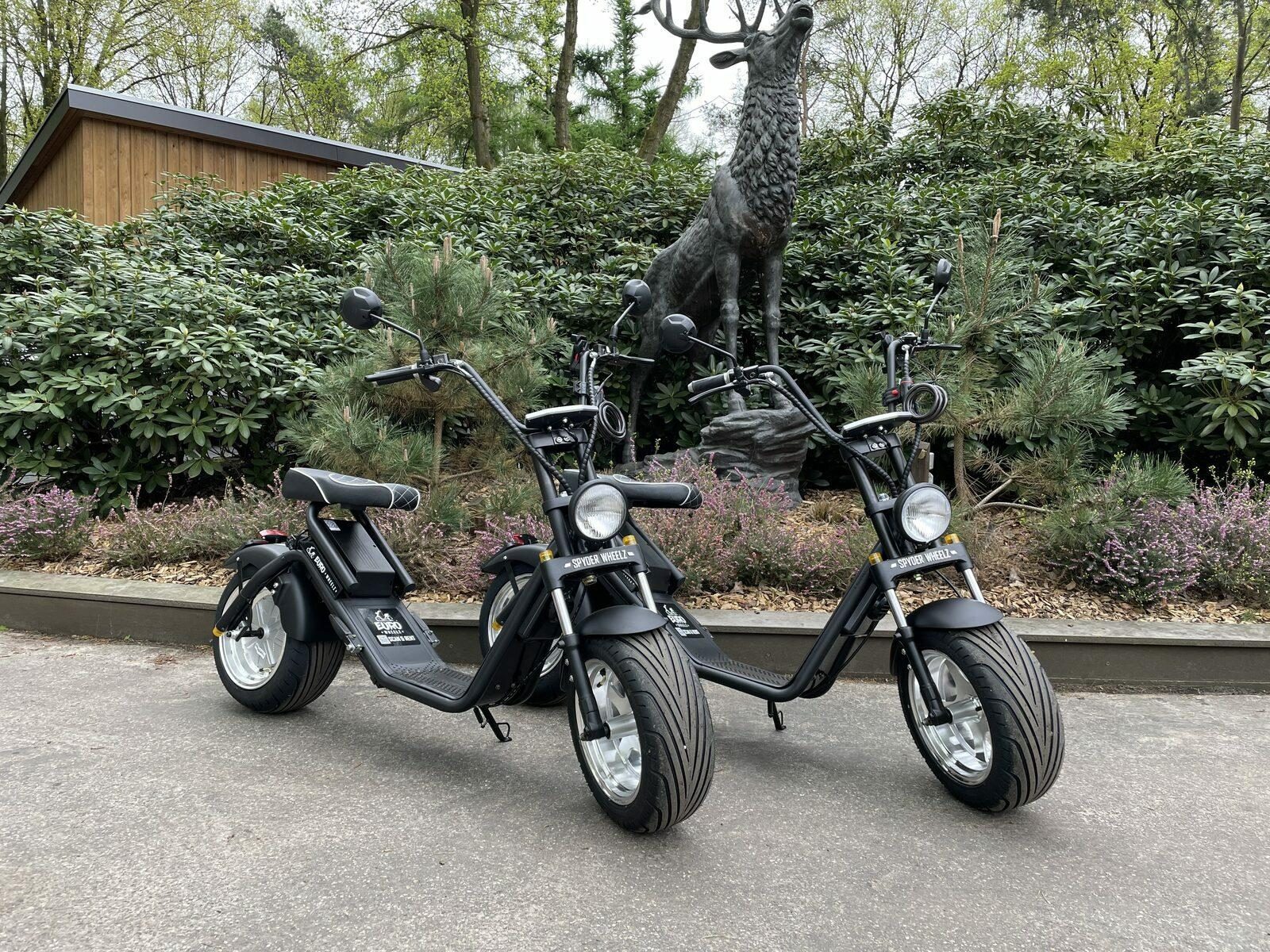 e-chopper huren