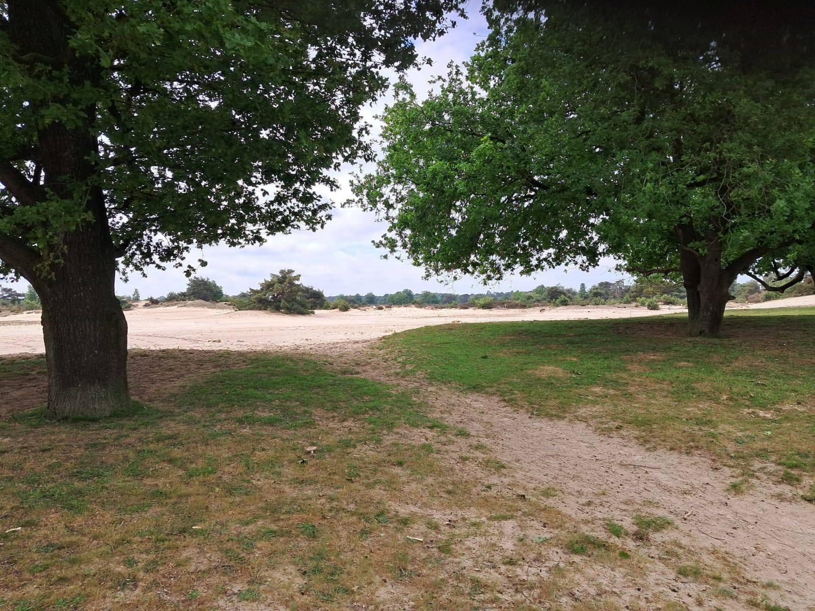 Recensie wandeltocht