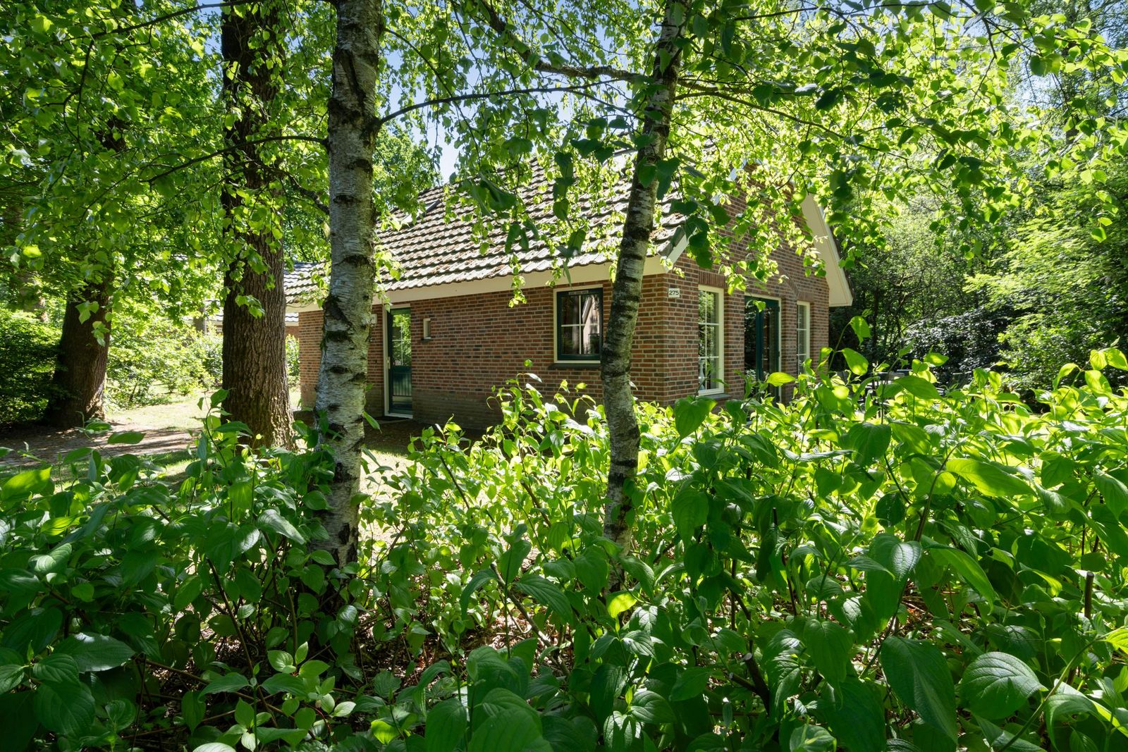 Te koop fraaie 6 persoons Beukenhoeve nr 275