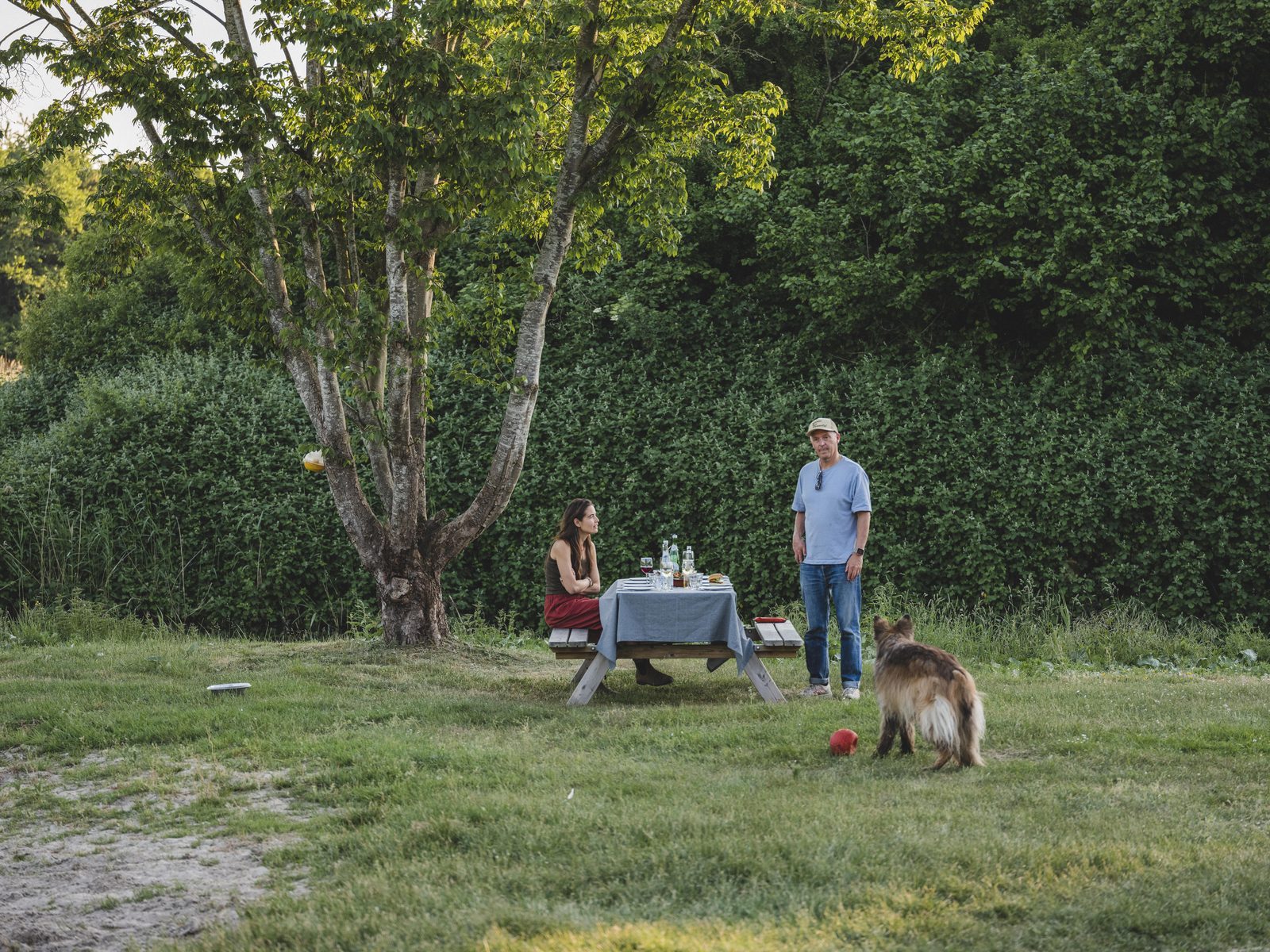 urlaub niederlande mit hund