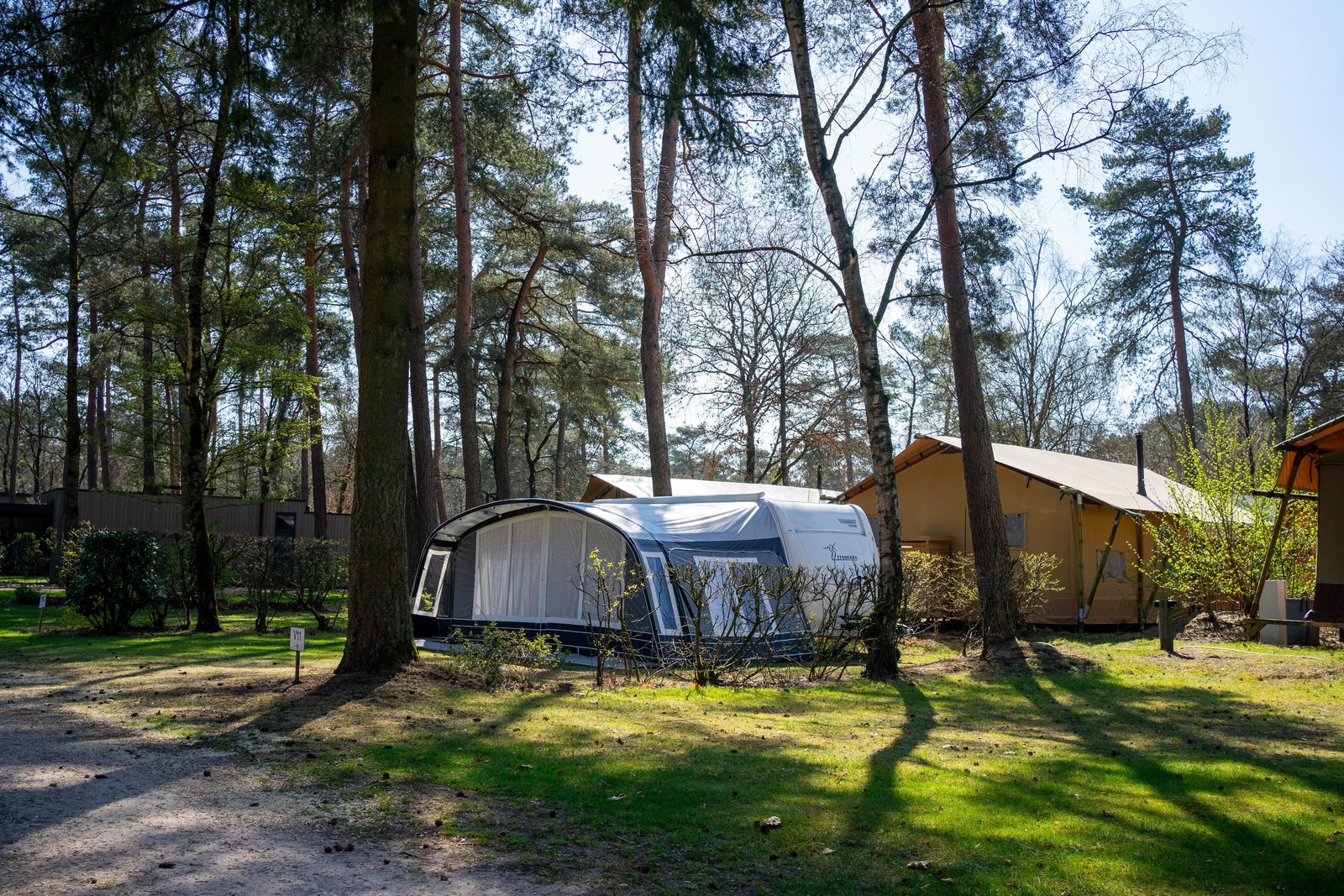 Holiday with baby - couple with pram takes autumn walk in forest at holiday park EuroParcs De Hooge Veluwe