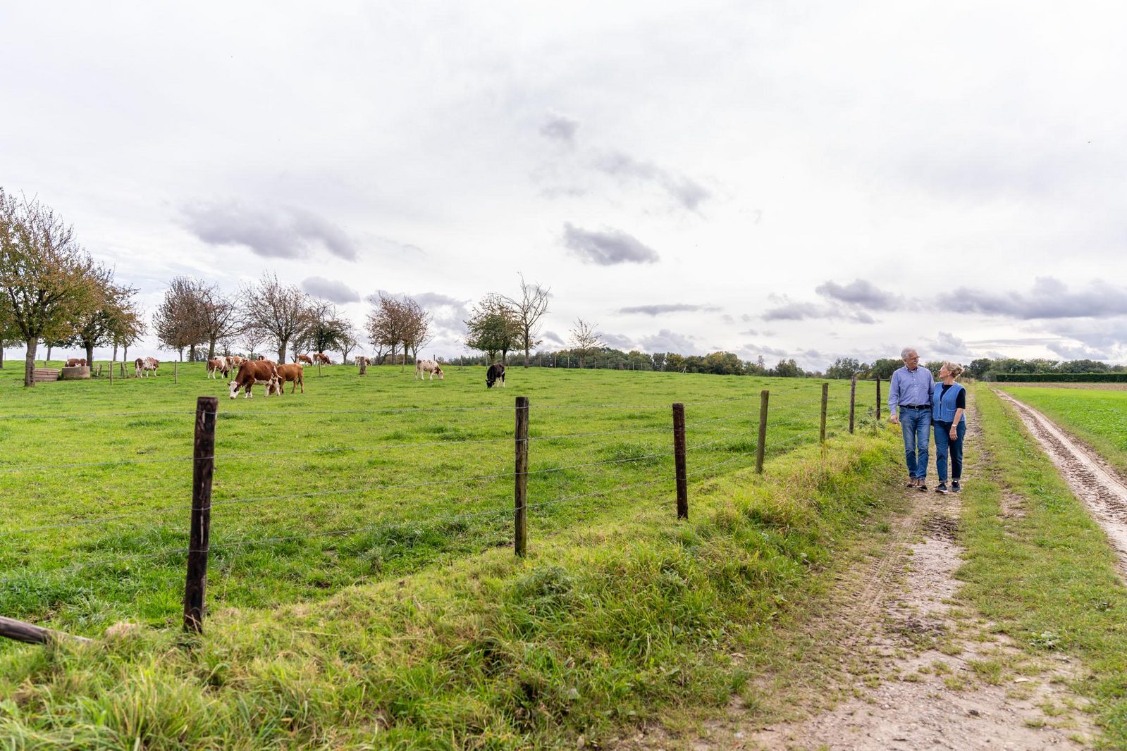 Ontdek de omgeving