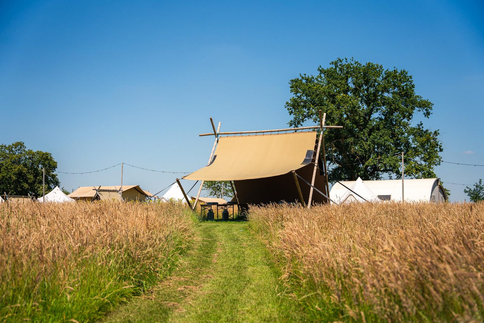 Ontdek onze pop-up glamping