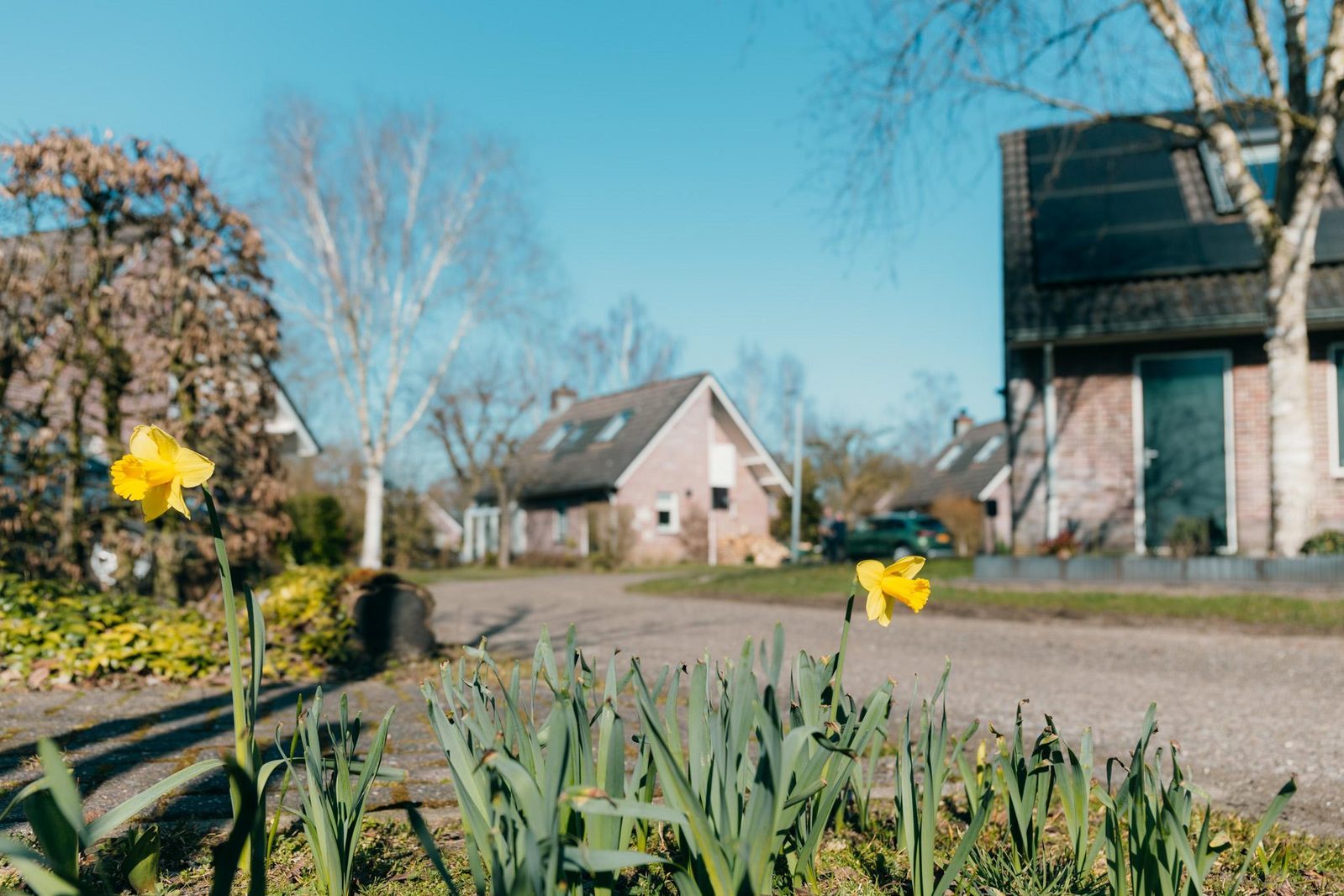 Vakantiehuis Rijssen