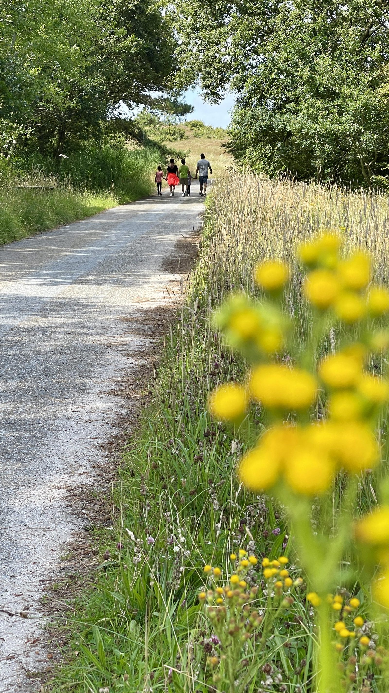 Wandelen