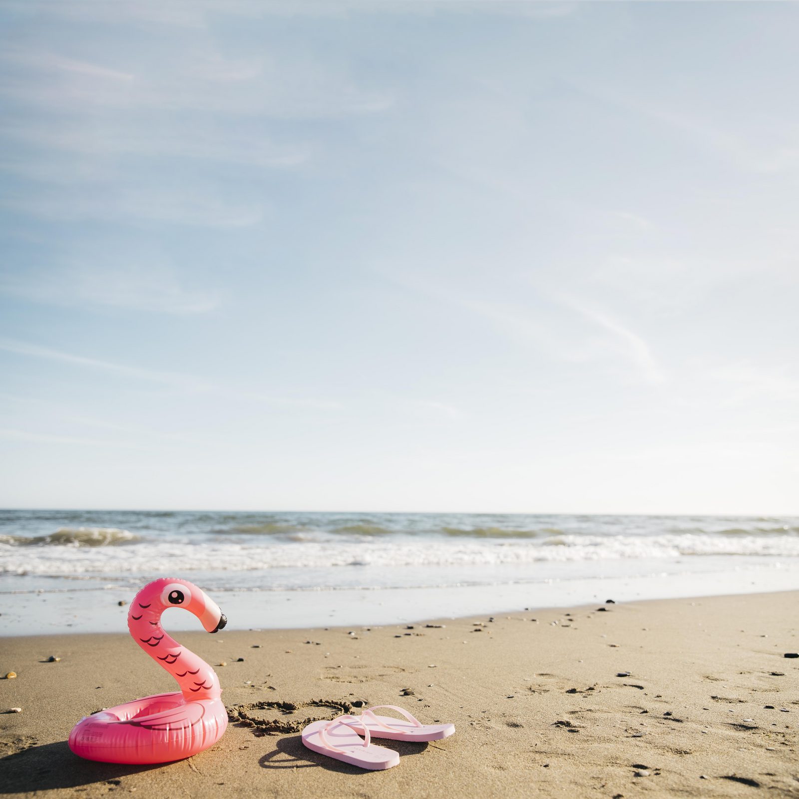 Zomer flamingo strand