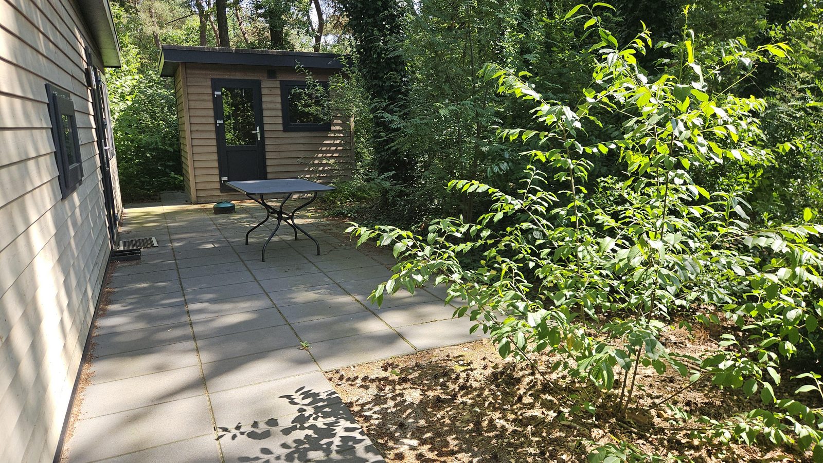 Bosparkchalet Heemserstee 469
