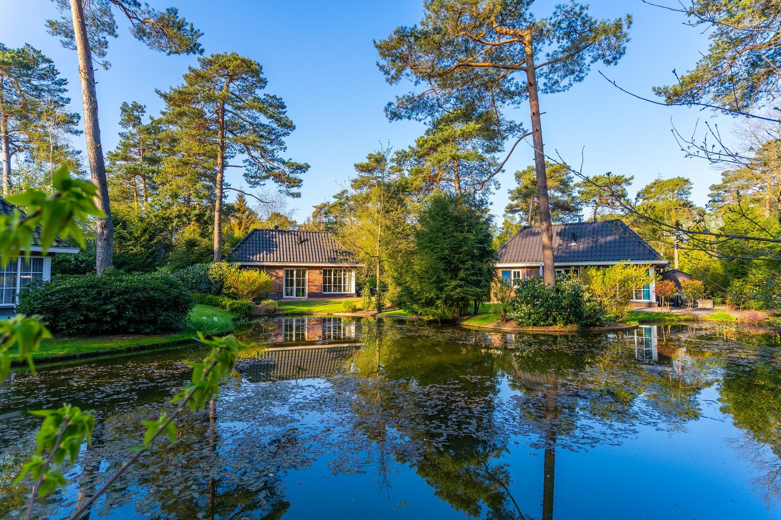 Group accommodation gelderland